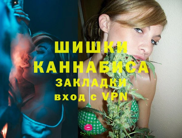 сатива Медвежьегорск