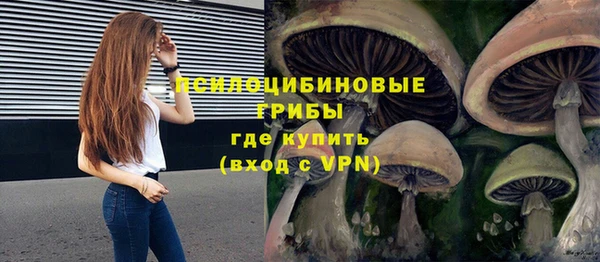 прущая мука Медногорск