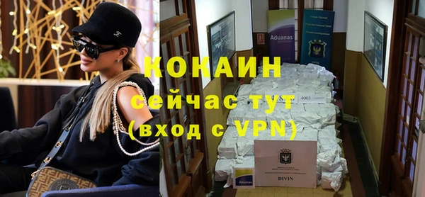 гашик Михайлов