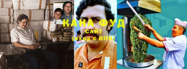 гидра Дмитров