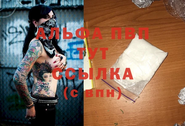хмурый Михайловск