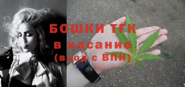 сатива Медвежьегорск